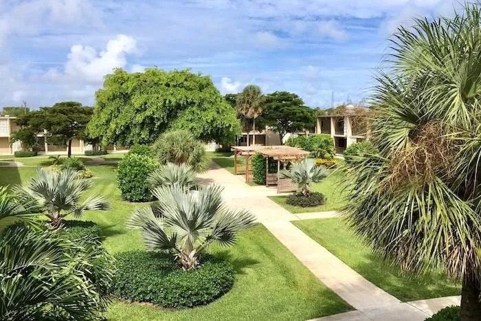 Courtyard upper view