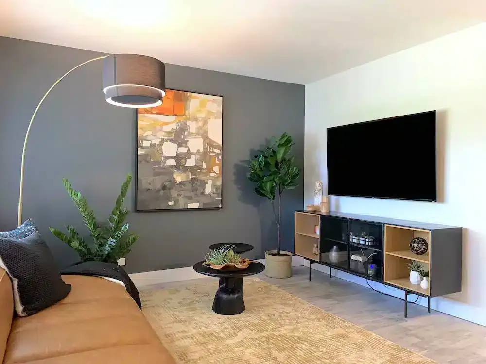 A modern living room in a Bella Vista apartment features a beige sofa and abstract art on a gray accent wall, with a large flat-screen TV mounted on a white wall. A black floor lamp, coffee table, potted plants, and a light patterned rug complete the decor.