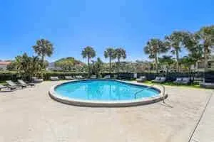 A circular outdoor swimming pool in Boca Raton is surrounded by lounge chairs and palm trees under a clear blue sky. The pool area, part of the perfect apartment complex, sits on a concrete surface with green shrubbery lining the background.